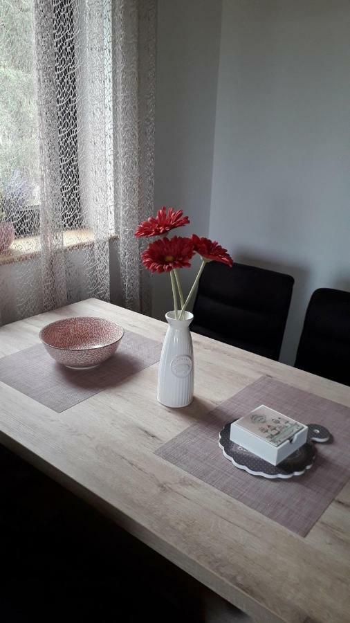 Apartman Nana Svetogorska 19 ,Stan 17 Zlatibor Zewnętrze zdjęcie