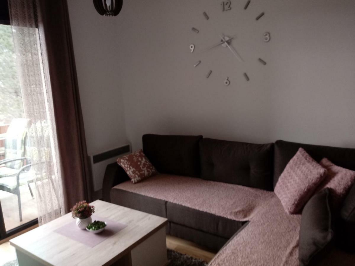 Apartman Nana Svetogorska 19 ,Stan 17 Zlatibor Zewnętrze zdjęcie