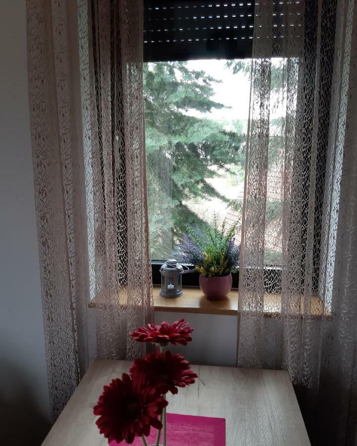 Apartman Nana Svetogorska 19 ,Stan 17 Zlatibor Zewnętrze zdjęcie